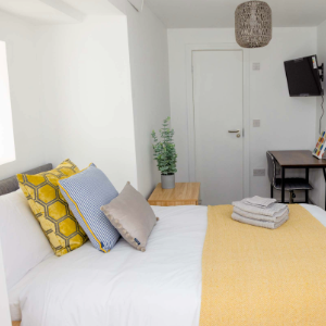 HMO Property 1